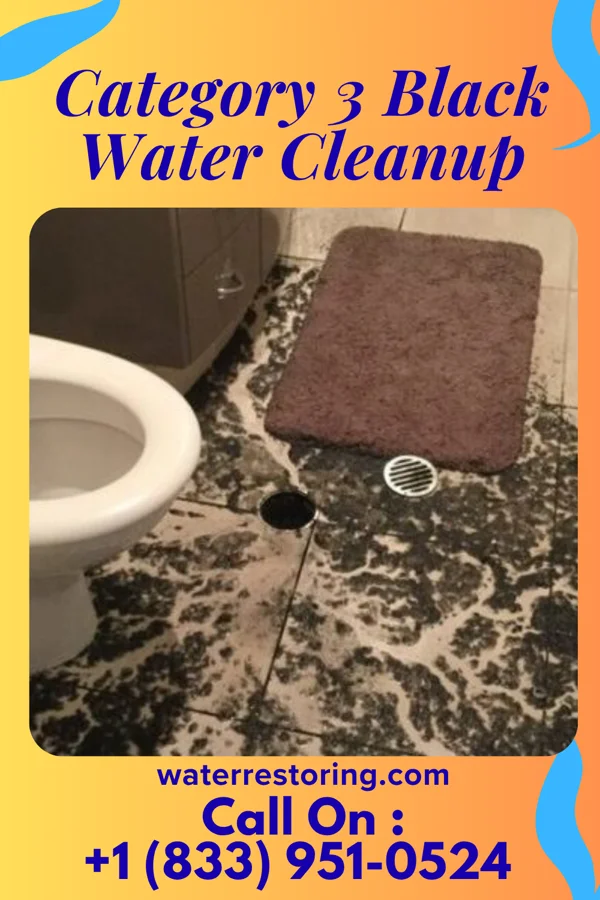 Category 3 Black Water Cleanup in Mapleton, IA