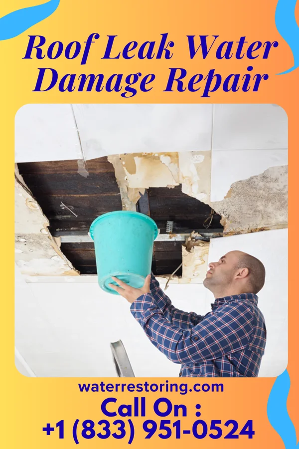 Roof Leak Water Damage Repair in Mapleton, IA
