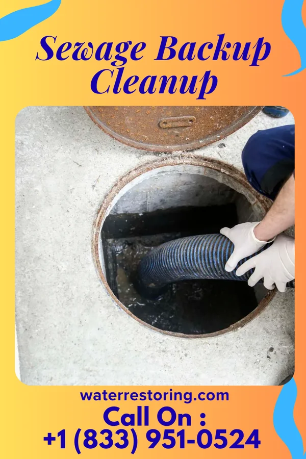 Sewage Backup Cleanup in Mapleton, IA
