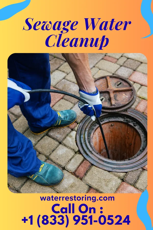 Sewage Water Cleanup in Mapleton, IA
